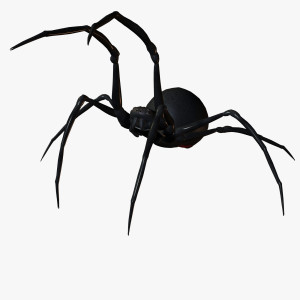 CS0365539BlackWidow