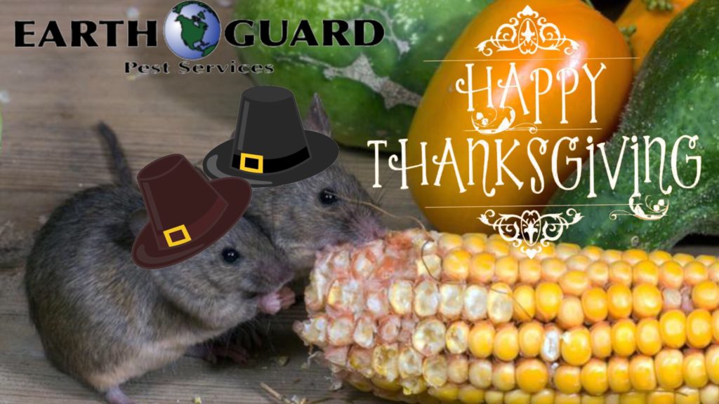 thanksgiving-earth-guard