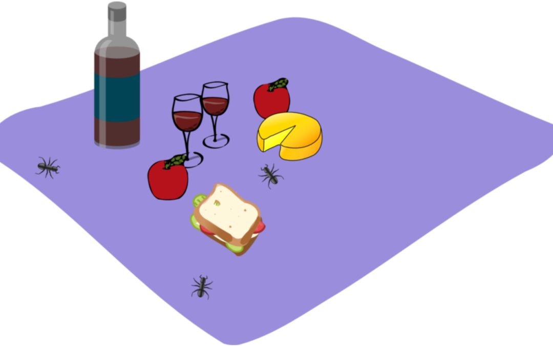 ants at a picnic graphic