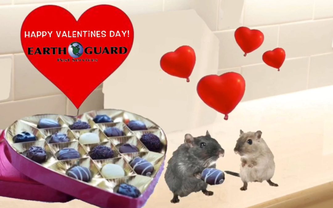 Happy Valentine's Day from Earth Guard mice with hearts and candy