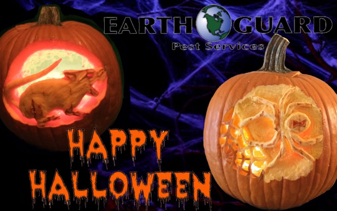 Carved pumpkins Happy Halloween 2017 graphic