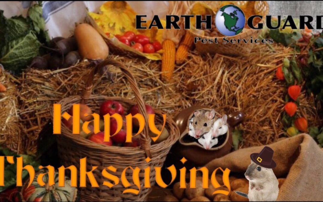 Happy Thanksgiving from Earth Guard Pest Services